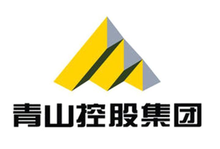 青山控股集团LOGO标志设计与VI设计图