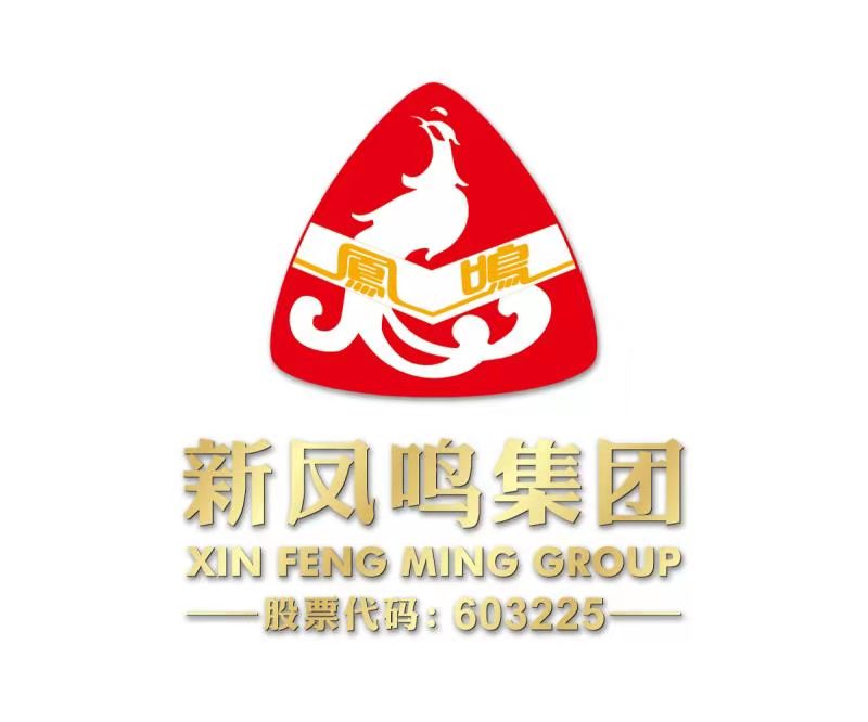 新凤鸣LOGO设计与VI设计