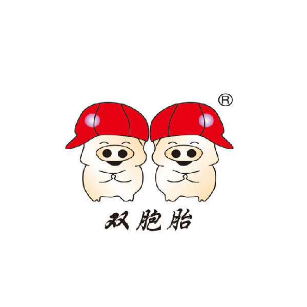双胞胎集团LOGO设计图，养殖与饲料VI设计